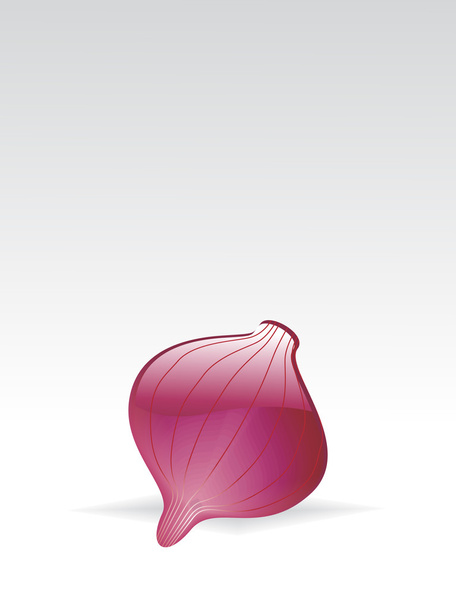 Background with isolated onion - Vector, afbeelding