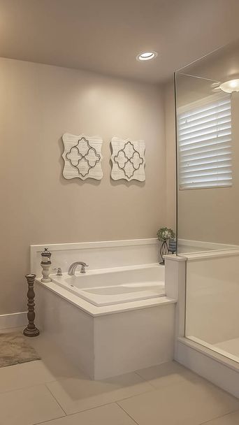 Marco vertical Interior del baño con ducha junto a la bañera incorporada
 - Foto, Imagen