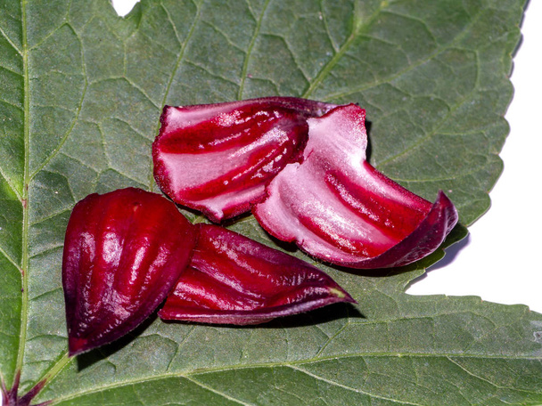 lähikuva Hibiscus sabdariffa tai Roselle hedelmät. - Valokuva, kuva