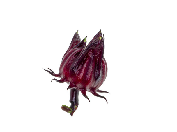 Hibiscus sabdariffa tai Roselle hedelmät
 - Valokuva, kuva