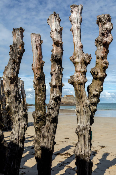 Grande quebra-mar, 3000 troncos para defender a cidade das marés, Plage de l 'ventail praia em Saint-Malo, Ille-et-Vilaine, Bretanha. - Foto, Imagem