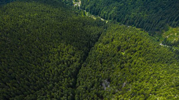 Luchtfoto van bergen bedekt met naaldbossen - Foto, afbeelding