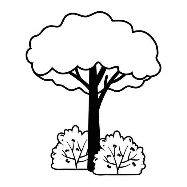 Ізольований абстрактний і сезонний дизайн дерева
 - Вектор, зображення