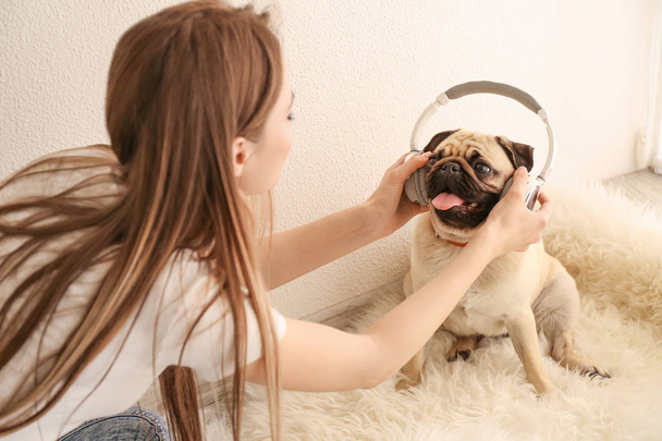 Krásná mladá žena si dává sluchátka na roztomilou pugku doma - Fotografie, Obrázek