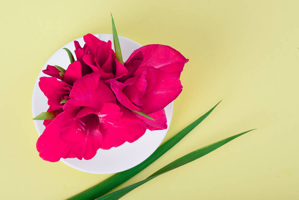 Beautiful fragrant gladioluses in a white cup on a yellow background - Valokuva, kuva