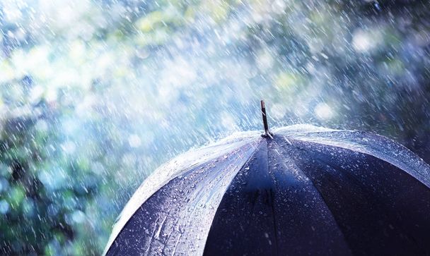 Rain And Wind On Black Umbrella - Weather Concept - Photo, Image