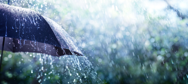 Lluvia en el paraguas - Concepto del tiempo
 - Foto, Imagen