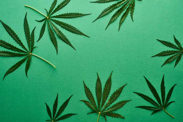 top view of green cannabis leaves on green background - Photo, Image