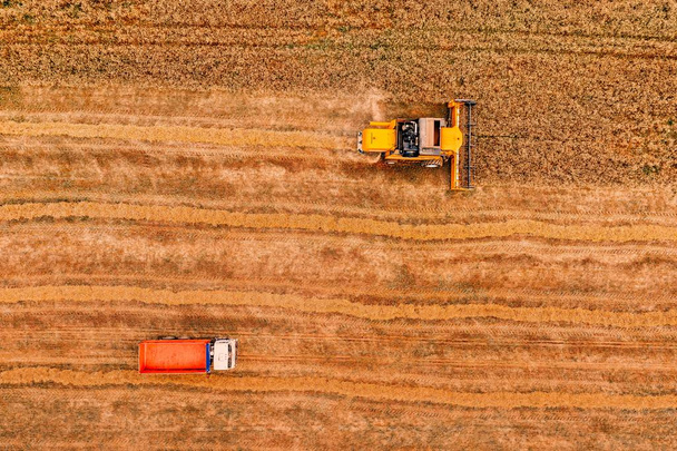 Luftaufnahme des Mähdreschers bei der Arbeit auf einem reifen Weizenfeld. - Foto, Bild
