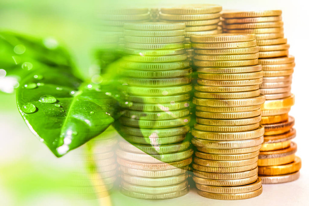 Green plant on the background of money . The concept of environmental protection . - Foto, Imagen