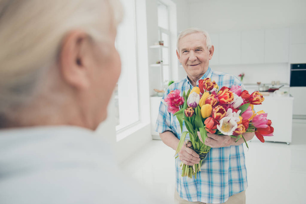 Two nice attractive kind cheerful cheery people granddad giving granny fresh beautiful natural floral tulips congratulations in light white interior living-room house indoors - Zdjęcie, obraz