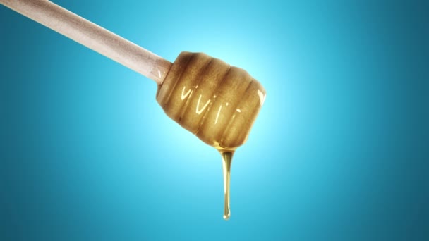 Miel goutte à goutte de miel trempette sur fond blu
 - Séquence, vidéo