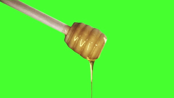 緑色の画面上の蜂蜜ディッパーから滴る蜂蜜 - 映像、動画