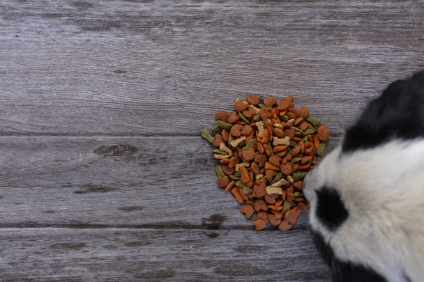 Dog food on wooden texture background - Фото, изображение