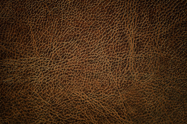 Dark brown leather texture background, closeup. Bronze cracked backdrop from wrinkle skin - Photo, Image