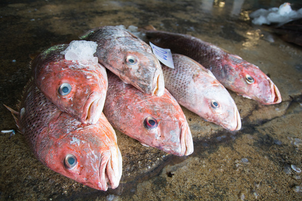 balıklar taze balık pazarında Tayland toptan hazır grupları - Fotoğraf, Görsel