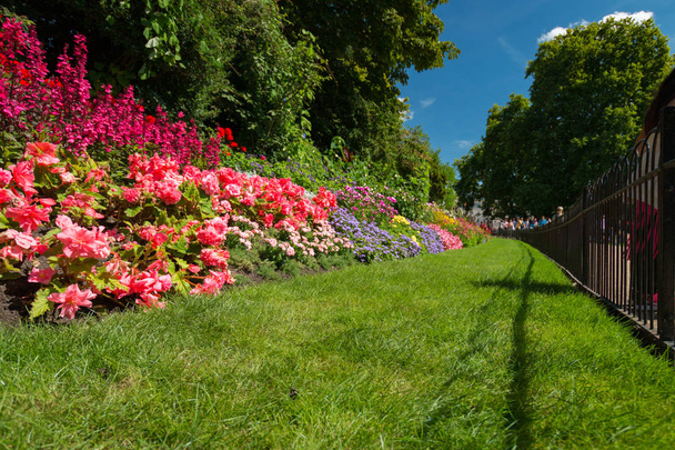 Flower bed at St. James Park, London, United Kingdom - Photo, Image