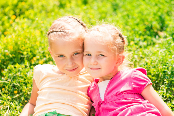 Two smiling little girls on the meadow - Photo, image