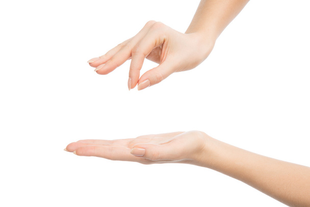Femme mains tiennent signe carte de visite virtuelle et paume ouverte
 - Photo, image
