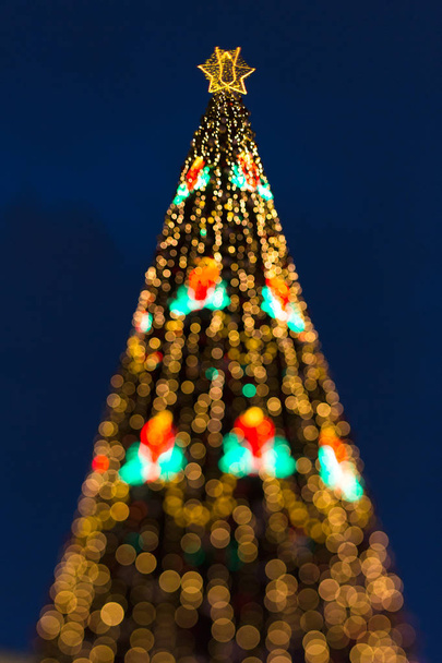 Karácsonyfa és a fények - Fotó, kép