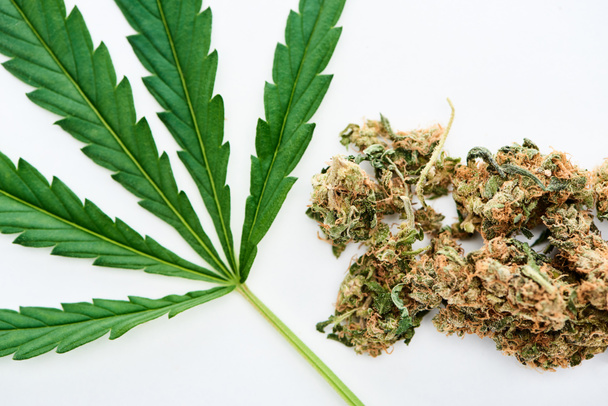 top view of green cannabis leaf and marijuana buds isolated on white  - Фото, зображення