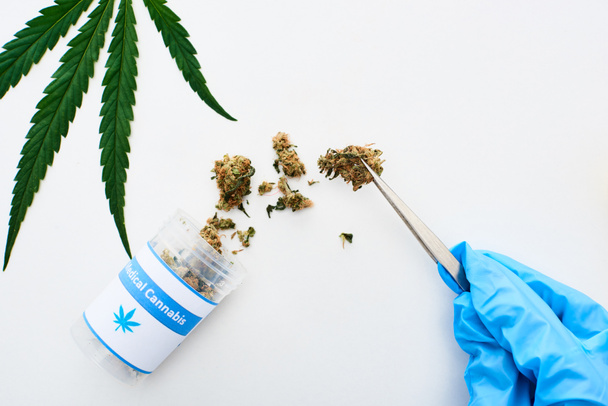 vista recortada del doctor en guante azul sosteniendo cannabis medicinal con pinzas cerca de la hoja de marihuana sobre fondo blanco
 - Foto, Imagen