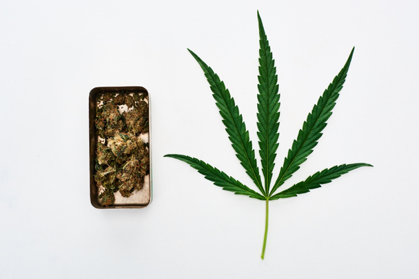 top view of green cannabis leaf and marijuana buds in metal case isolated on white  - Foto, afbeelding