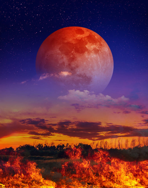 月食スーパームーンと多くの星がアボと空の風景 - 写真・画像