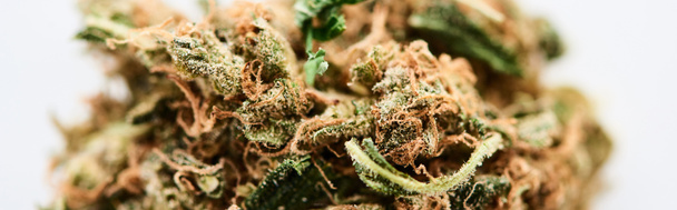 close up view of natural marijuana bud isolated on white, panoramic shot - Foto, Imagen