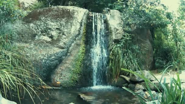 Όμορφος καταρράκτης σε βαθύ δάσος ή πάρκο - Πλάνα, βίντεο