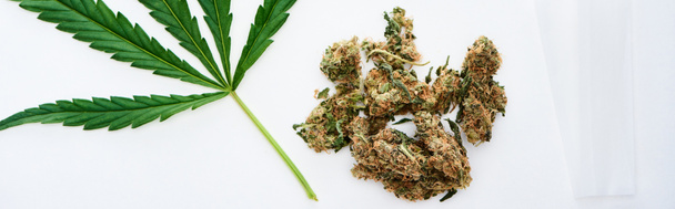 Draufsicht auf grüne Cannabisblätter und Marihuanaknospen mit Papier isoliert auf weißem, panoramischem Foto - Foto, Bild