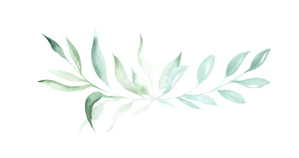 Illustration of watercolor drawing decorative elements of green plants and leaves in the form of frames on an isolated white background. - Photo, Image