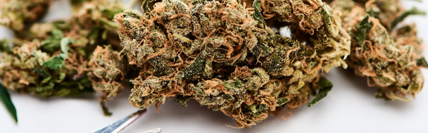 крупным планом вид природных бутонов марихуаны рядом с ножницами на белом фоне, панорамный снимок
 - Фото, изображение