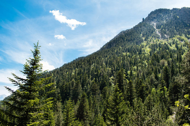 Beautiful landscape mountains in summer at Parc Natural del Comapedrosa, Andorra - Photo, Image