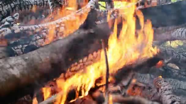 Hete brand brandende hout met kolen. Gloeiende vlam van tak op de grond - Video
