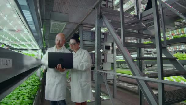 A group of people in white coats with a laptop and a tablet on a hydroponic farm contribute research data on vegetables to the data center for analysis and programming of plant irrigation - Footage, Video