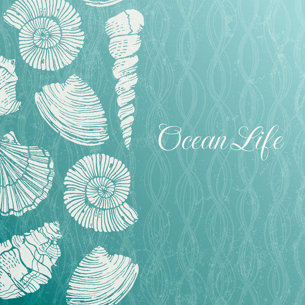 Vector background with sea shells - Διάνυσμα, εικόνα