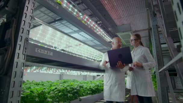 水耕栽培を備えた垂直農場でラップトップとタブレットを持つ白いコートを着た科学者は、水やり植物の分析とプログラミングのためにデータセンターで野菜に関する研究データを作ります - 映像、動画
