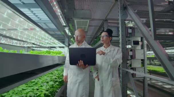 Οι επιστήμονες με λευκά παλτά με ένα φορητό υπολογιστή και ένα δισκίο σε ένα κατακόρυφο αγρόκτημα με Υδροπονία κάνουν ερευνητικά δεδομένα για τα λαχανικά στο κέντρο δεδομένων για την ανάλυση και τον προγραμματισμό του ποτίσματος φυτών - Πλάνα, βίντεο
