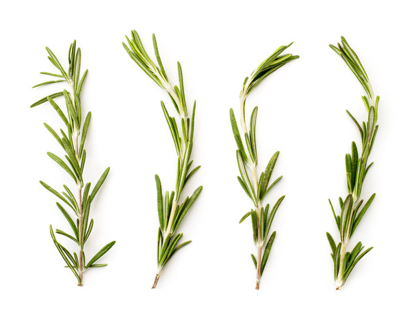 Four branches of rosemary on a white. The view of the top. - Photo, Image
