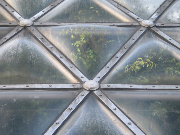 陽気な温室ドームの窓 - 写真・画像