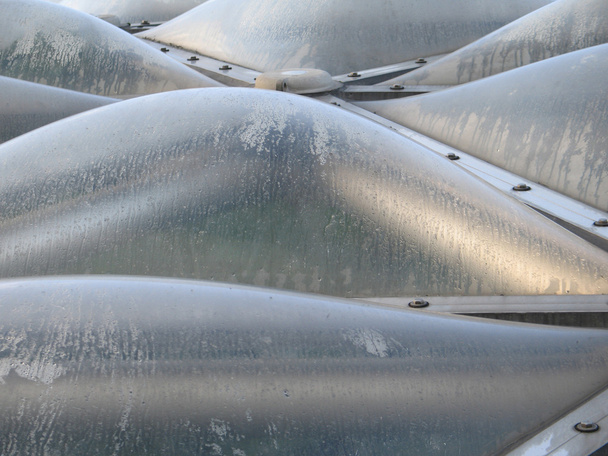 Bubbly Greenhouse Dome Windows - Photo, Image