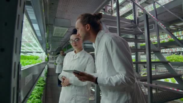 People in white coats walk around a modern farm collecting statistics for analysis and debating the success of genetic engineering. The concept of the modern farm of the future - Footage, Video