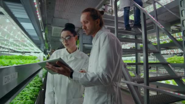 白いコートを着たエンジニアのグループは、ラップトップやタブレットを手に、緑の植物の成長の結果を研究し、議論して、未来の近代的な垂直農場を歩きます. - 映像、動画