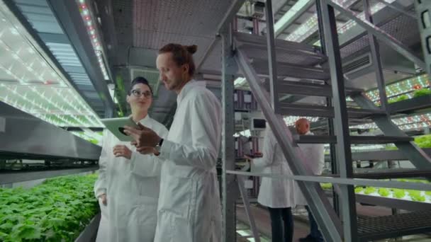 Inżynieria genetyczna. Lekarze w białych płaszczach wyglądają i dostosowują pracę pionowego gospodarstwa, sprawdzając rośliny i patrząc na ekrany tabletek. - Materiał filmowy, wideo