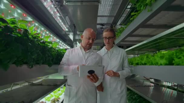 Microbiologie in witte jassen wandelen op een moderne boerderij met laptops en tablets studeren en bespreken van de resultaten van de groei van groene planten. - Video