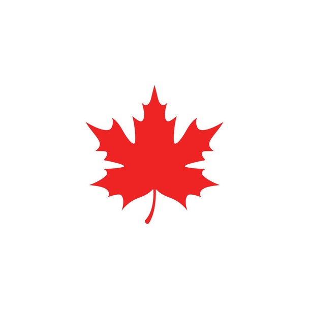 Maple leaf logo template vector icon illustration  - Vector, Image