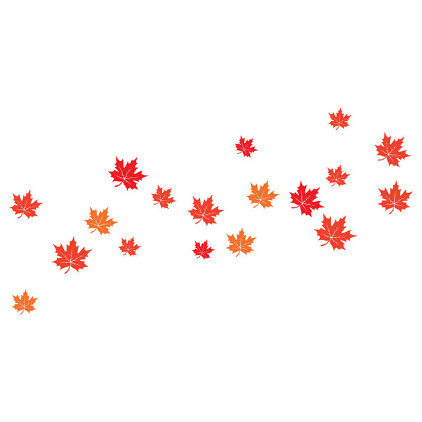 Maple leaf background vector illustration  - ベクター画像