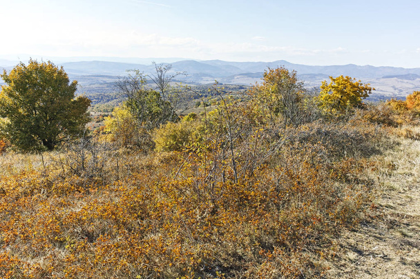 Krajobraz góry Cherna Gora, Bułgaria - Zdjęcie, obraz