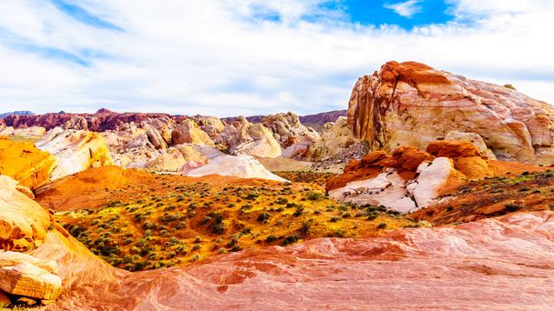 Kolorowe czerwone, żółte i białe formacje skalne z piaskowca wzdłuż białej ścieżki kopuły w dolinie pożaru w parku stanu Nevada, USA - Zdjęcie, obraz